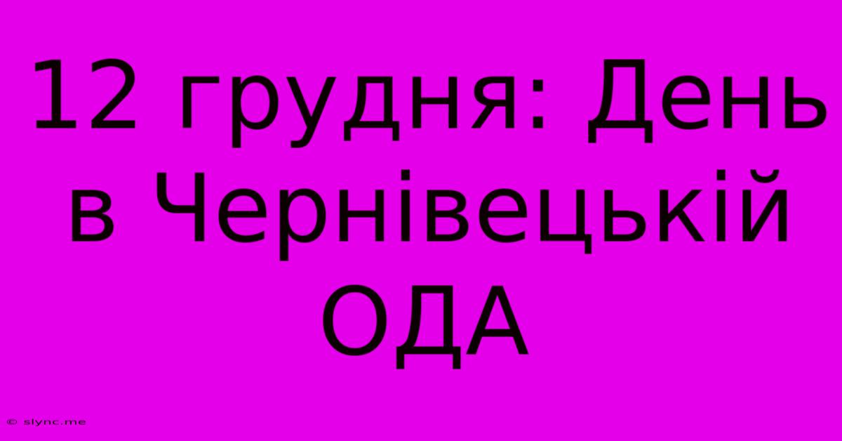 12 Грудня: День В Чернівецькій ОДА