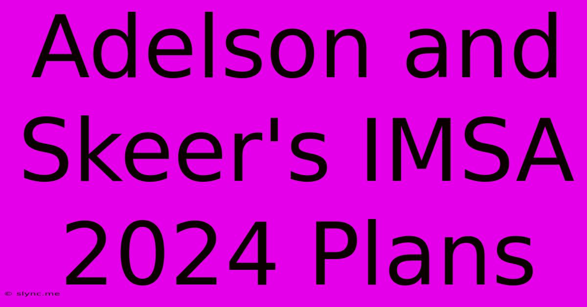 Adelson And Skeer's IMSA 2024 Plans