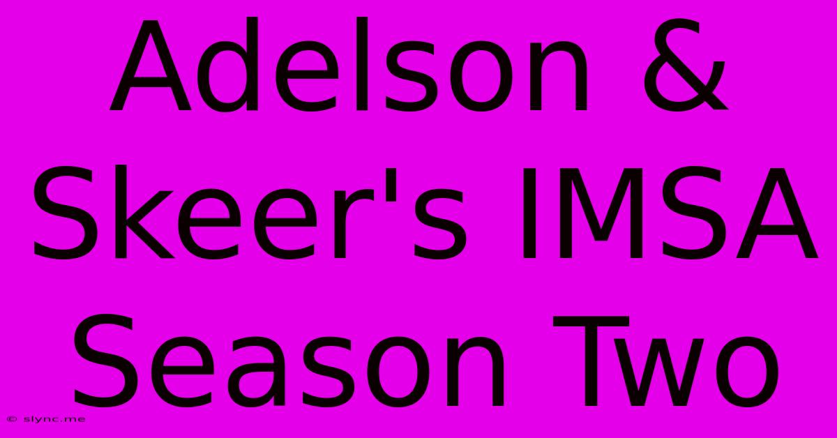 Adelson & Skeer's IMSA Season Two