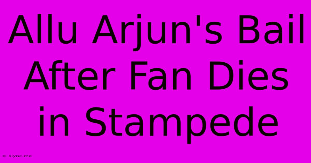 Allu Arjun's Bail After Fan Dies In Stampede