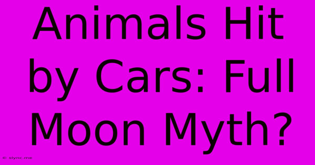 Animals Hit By Cars: Full Moon Myth?