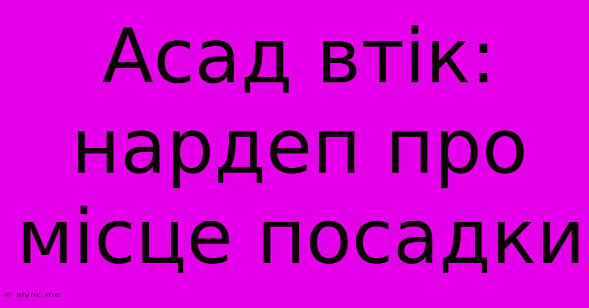 Асад Втік: Нардеп Про Місце Посадки