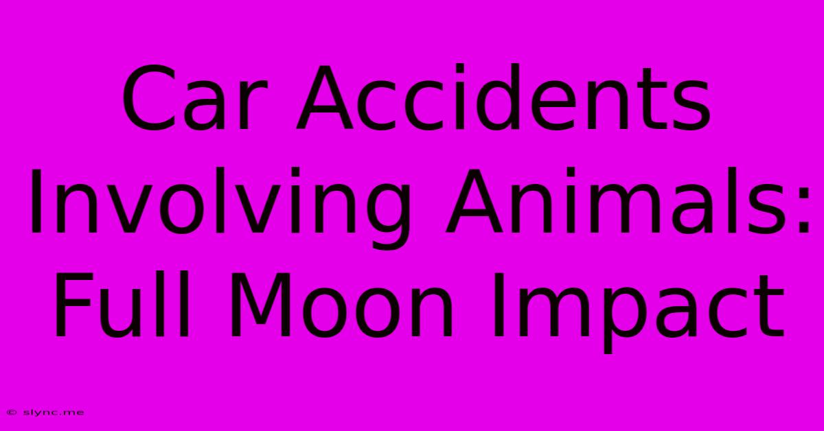 Car Accidents Involving Animals: Full Moon Impact