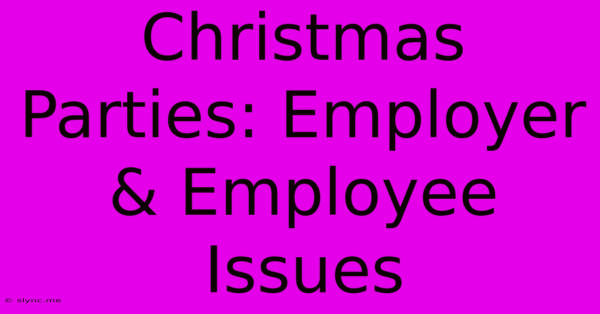 Christmas Parties: Employer & Employee Issues