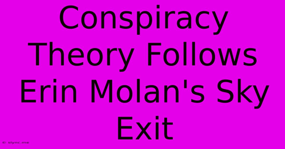 Conspiracy Theory Follows Erin Molan's Sky Exit