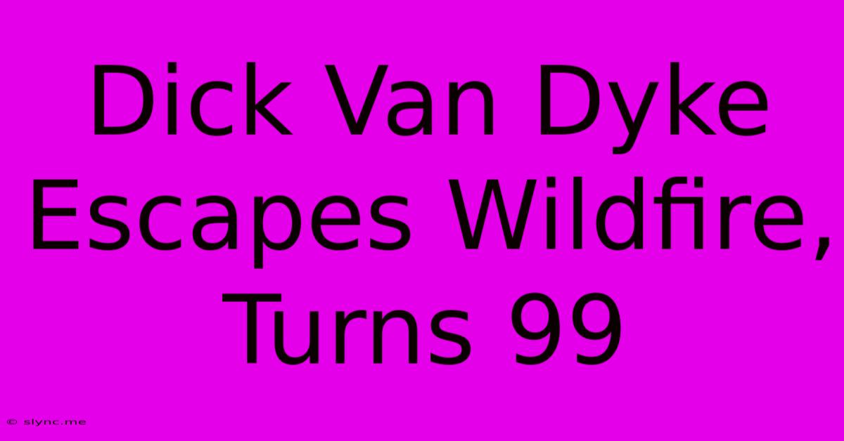 Dick Van Dyke Escapes Wildfire, Turns 99