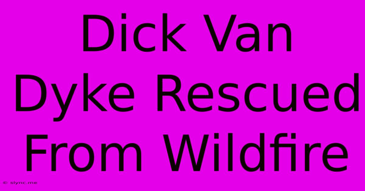 Dick Van Dyke Rescued From Wildfire