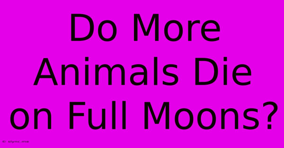 Do More Animals Die On Full Moons?