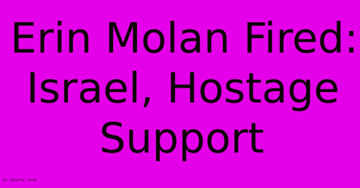 Erin Molan Fired: Israel, Hostage Support