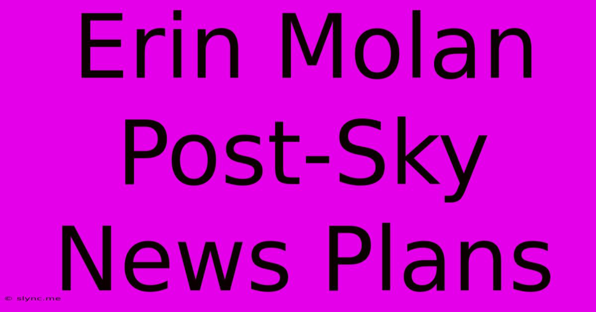 Erin Molan Post-Sky News Plans