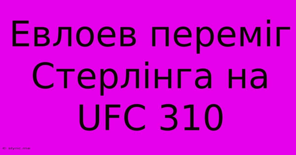 Евлоев Переміг Стерлінга На UFC 310