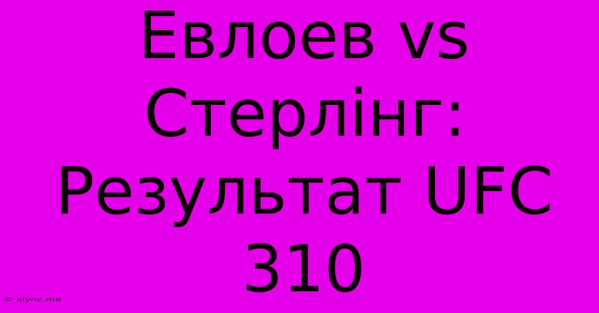 Евлоев Vs Стерлінг: Результат UFC 310