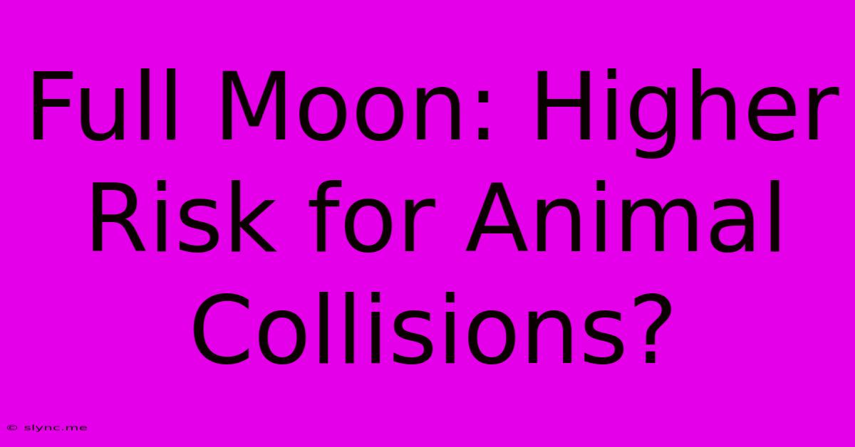 Full Moon: Higher Risk For Animal Collisions?