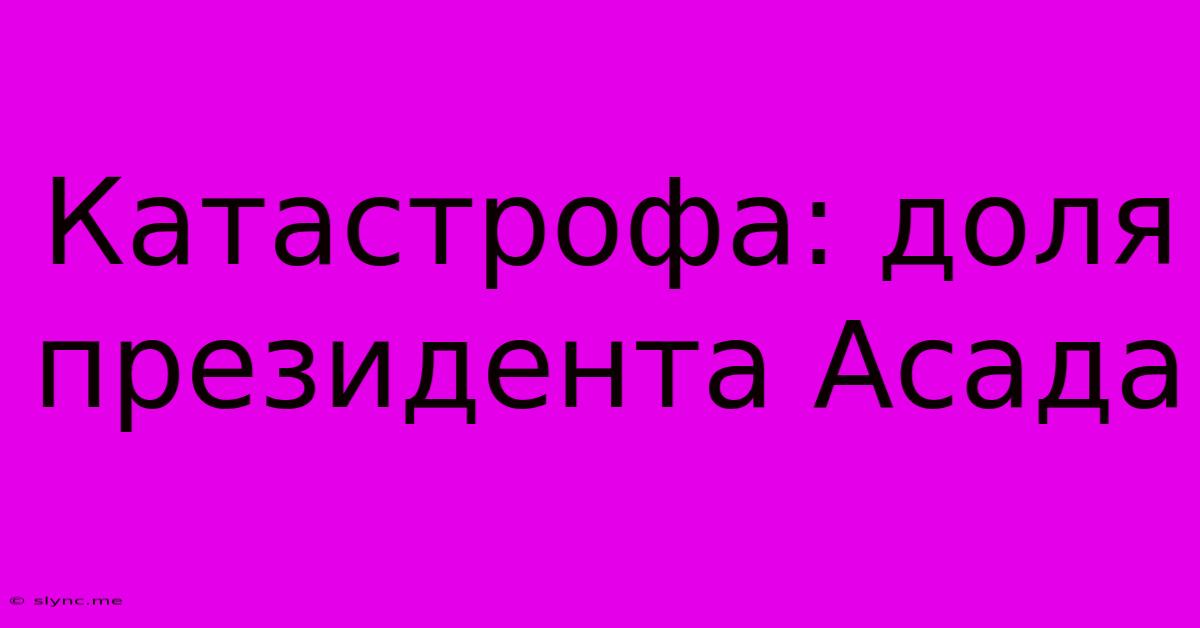 Катастрофа: Доля Президента Асада