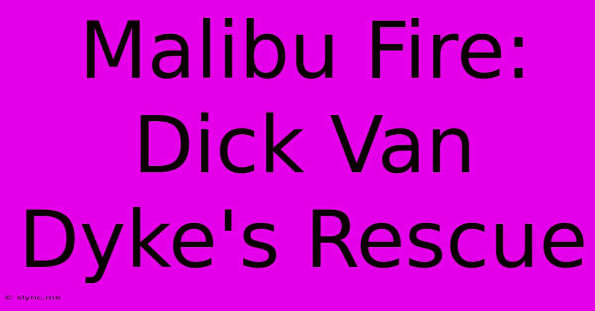 Malibu Fire: Dick Van Dyke's Rescue