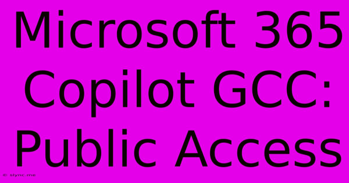 Microsoft 365 Copilot GCC: Public Access