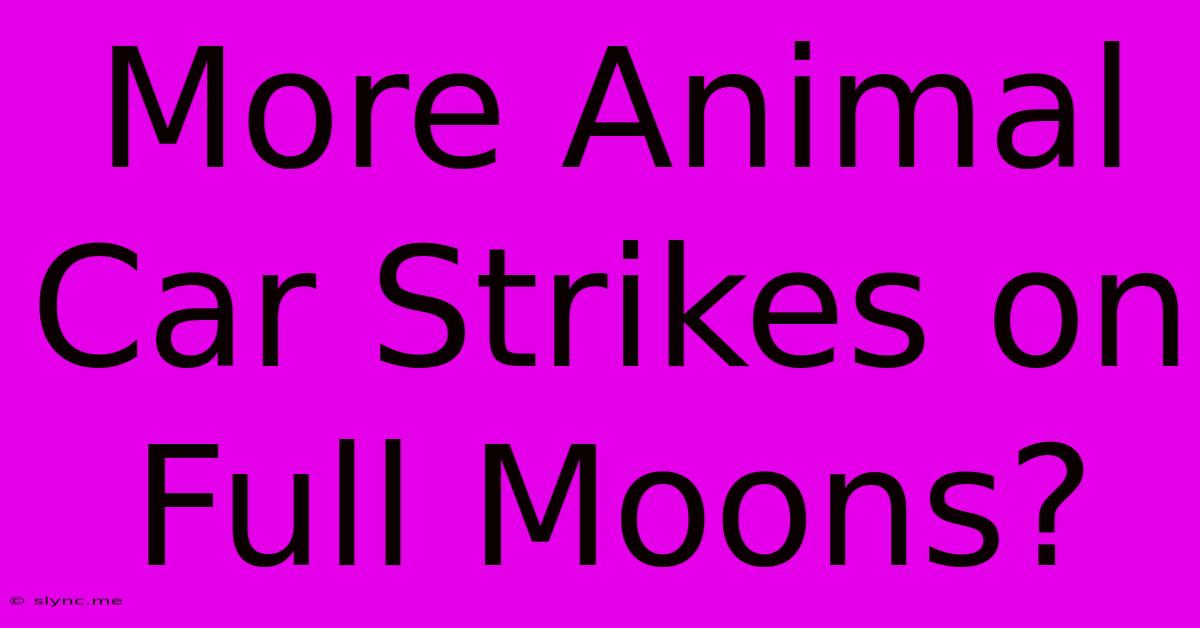 More Animal Car Strikes On Full Moons?