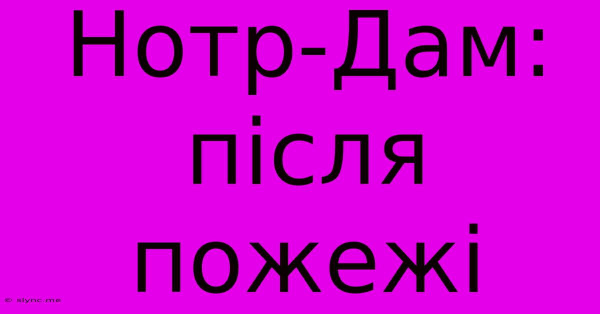 Нотр-Дам: Після Пожежі