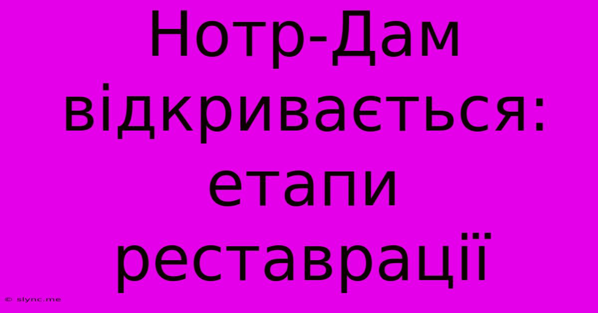 Нотр-Дам Відкривається: Етапи Реставрації