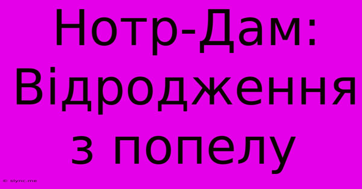 Нотр-Дам: Відродження З Попелу