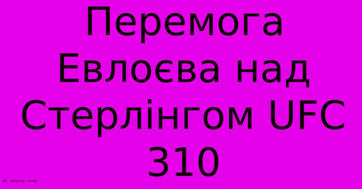 Перемога Евлоєва Над Стерлінгом UFC 310