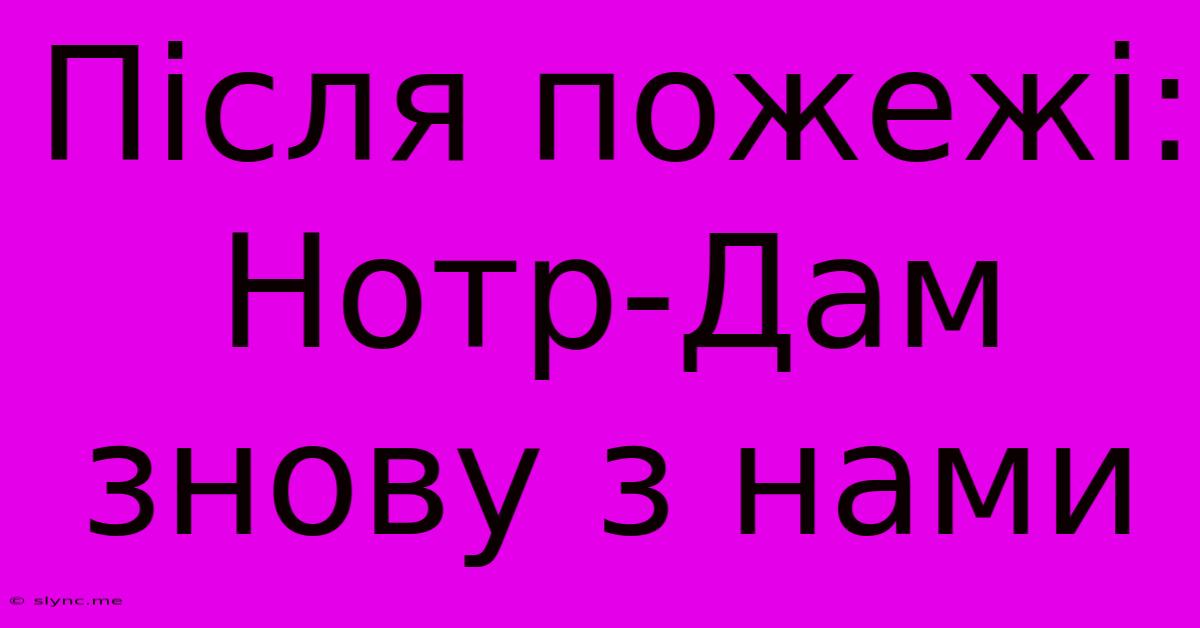 Після Пожежі: Нотр-Дам Знову З Нами