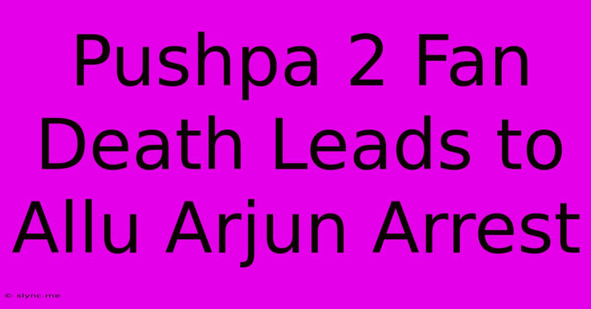 Pushpa 2 Fan Death Leads To Allu Arjun Arrest