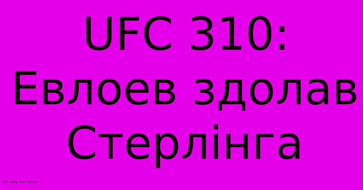 UFC 310: Евлоев Здолав Стерлінга