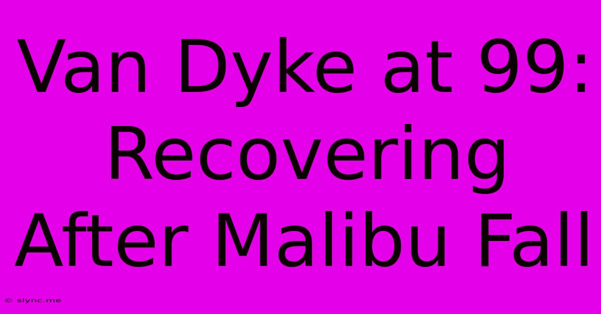 Van Dyke At 99: Recovering After Malibu Fall