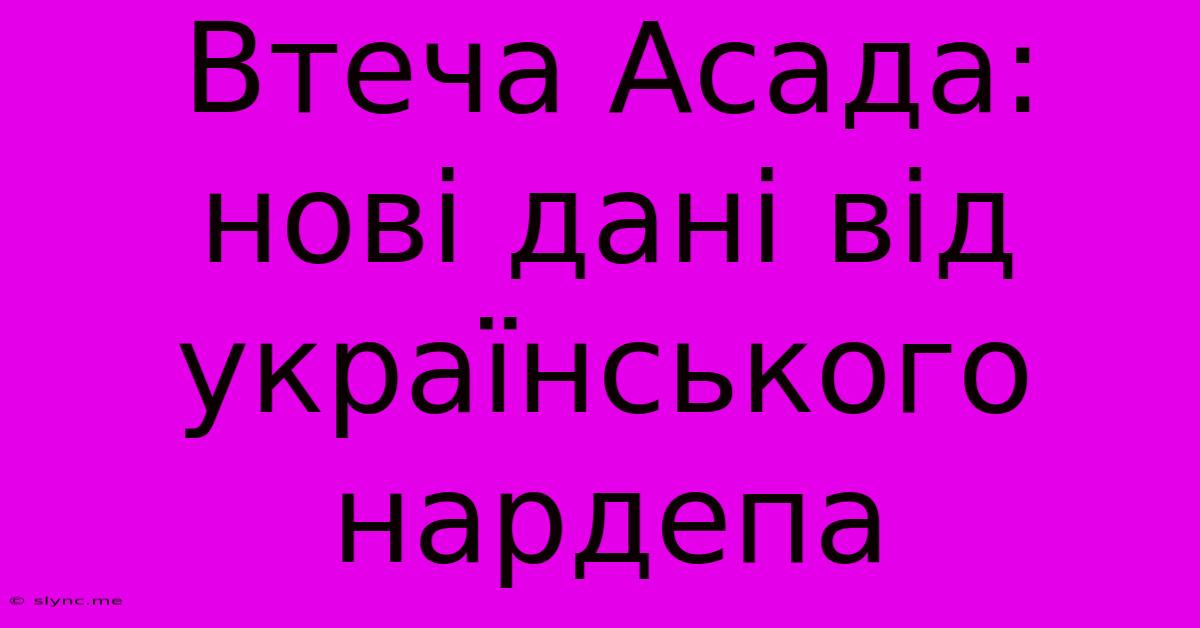 Втеча Асада: Нові Дані Від Українського Нардепа