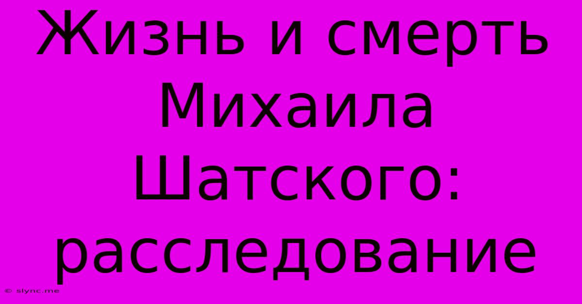 Жизнь И Смерть Михаила Шатского: Расследование